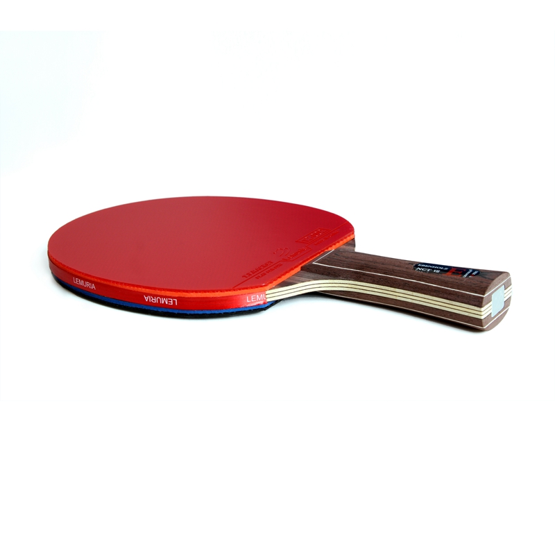 Raqueta de tenis de mesa Lemur - Table Tennis Yasaka reseña y precio