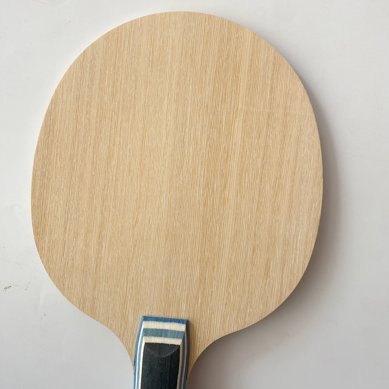 Raqueta de Tenis de Mesa Lemur - Table Tennis Xu Xin reseña y precio