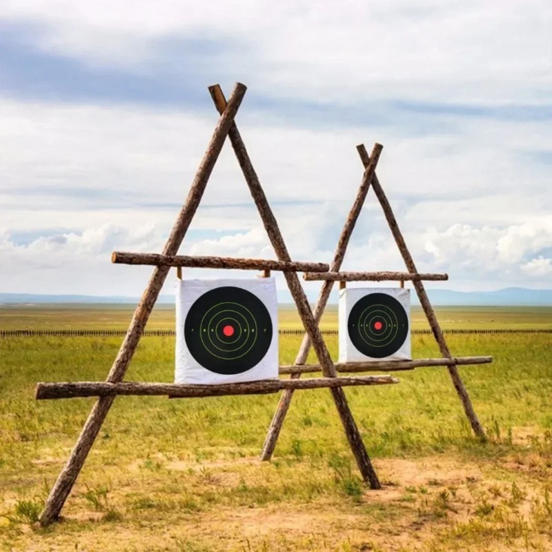 Paquete de 50/100/150/200/250  - Practice Target Board reseña y precio