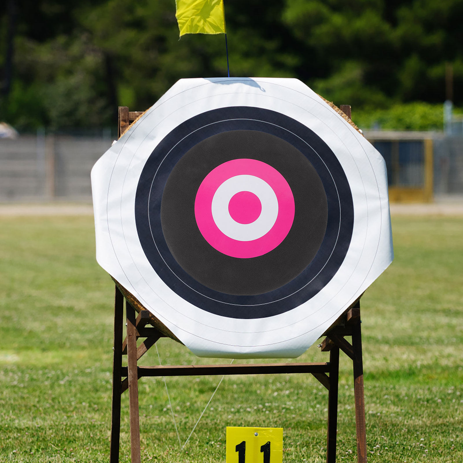 Tablero de Tiro con Arco Portá - Practice Target Board reseña y precio